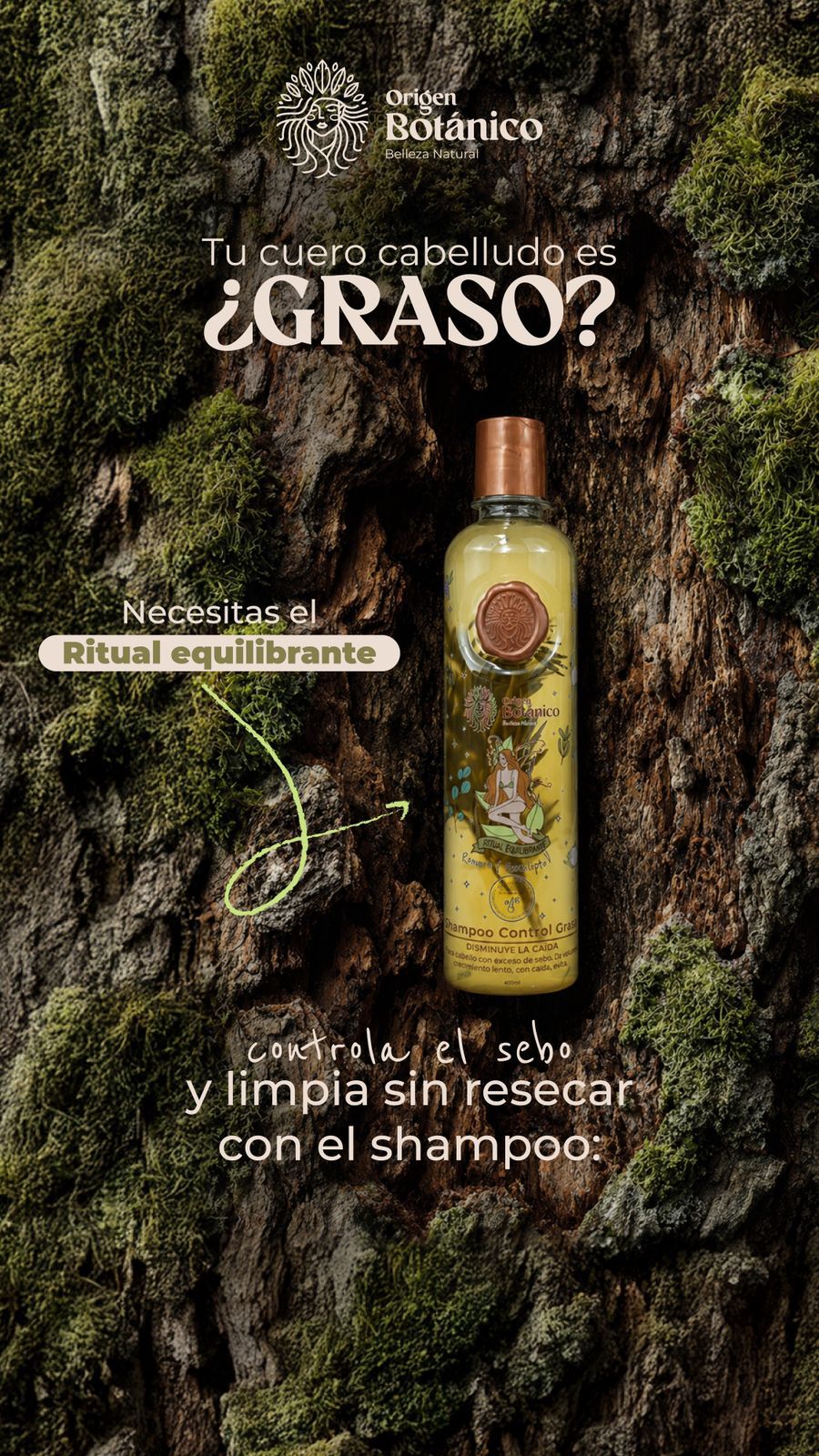 Shampoo Control Grasa